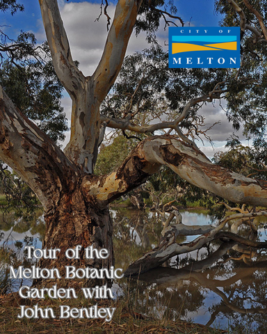 Tour of the Melton Botanic Garden (9.30am - 12.30pm, Sunday 13 September 2026)