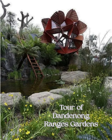 Tour of Dandenong Ranges Gardens (10.30am - 12.30pm, Sunday 16th August)