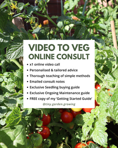 Tiny Garden Growing Video to Veg Consult