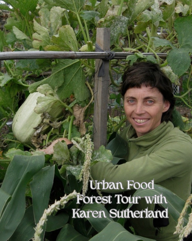Urban Food Forest Tour with Karen Sutherland (10.30am - 12pm, Sunday 9 August 2026)