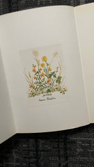 A Sense of Hummus: A Bedside Book of Garden Humour by Diana Anthony - Pick up only