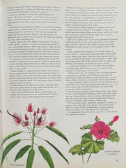 Flowers of the World by Francis Perry