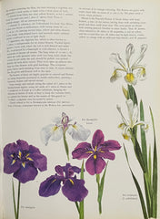 Flowers of the World by Francis Perry