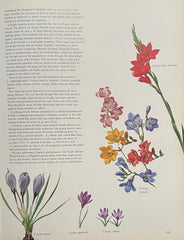 Flowers of the World by Francis Perry