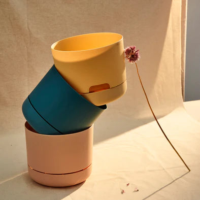 Mr Kitly Self Watering Pot - Pick Up only