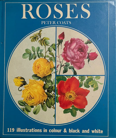 Roses by Peter Coats -  - Pick Up Only