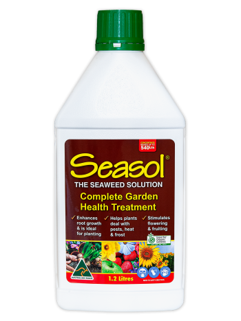 Seasol 1.25L Seaweed Solution - Pick Up only