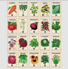 Little Veggie Patch Gift Bundle - Pick up only