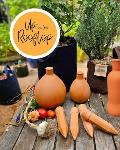 Gift Voucher for Up on the Rooftop