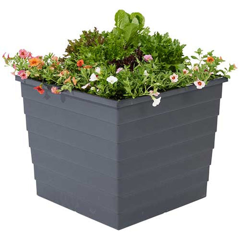 WaterUps Square Planter - Pick up only