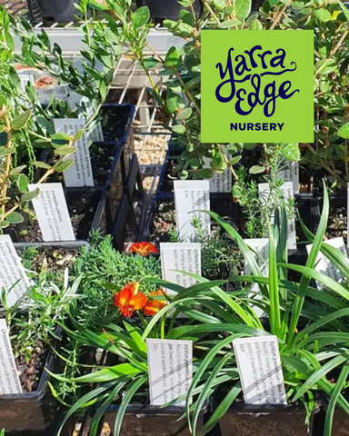 Gift Voucher Yarra Edge Nursery