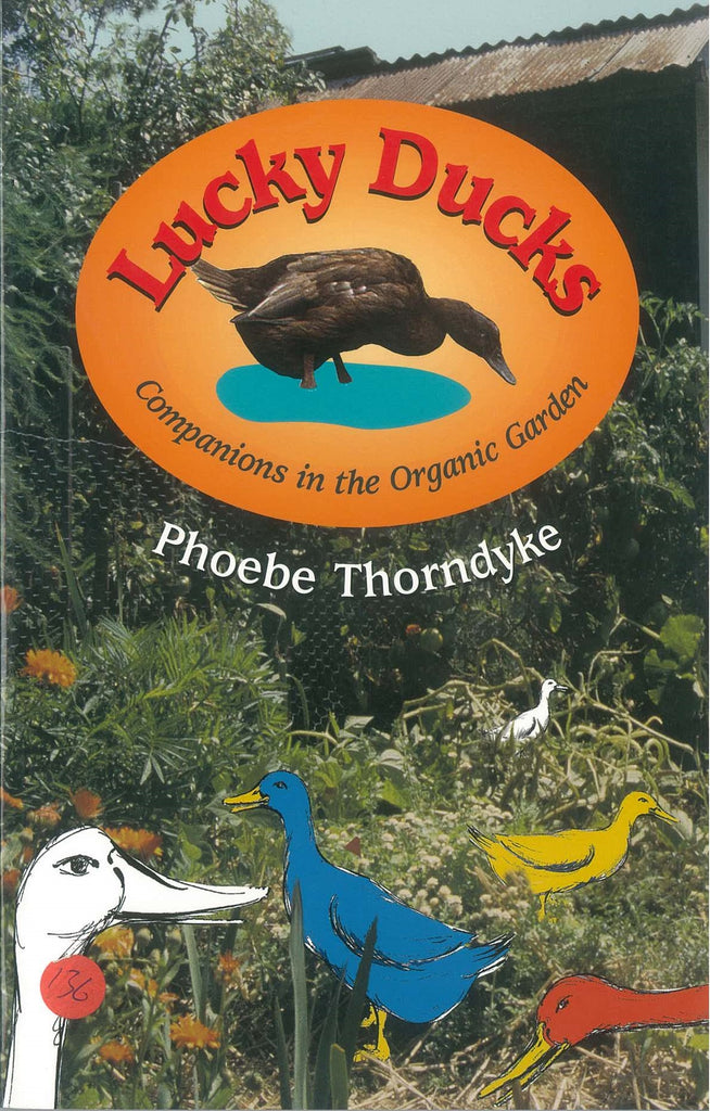 Lucky Ducks by Phoebe Thorndyke - Pick up only